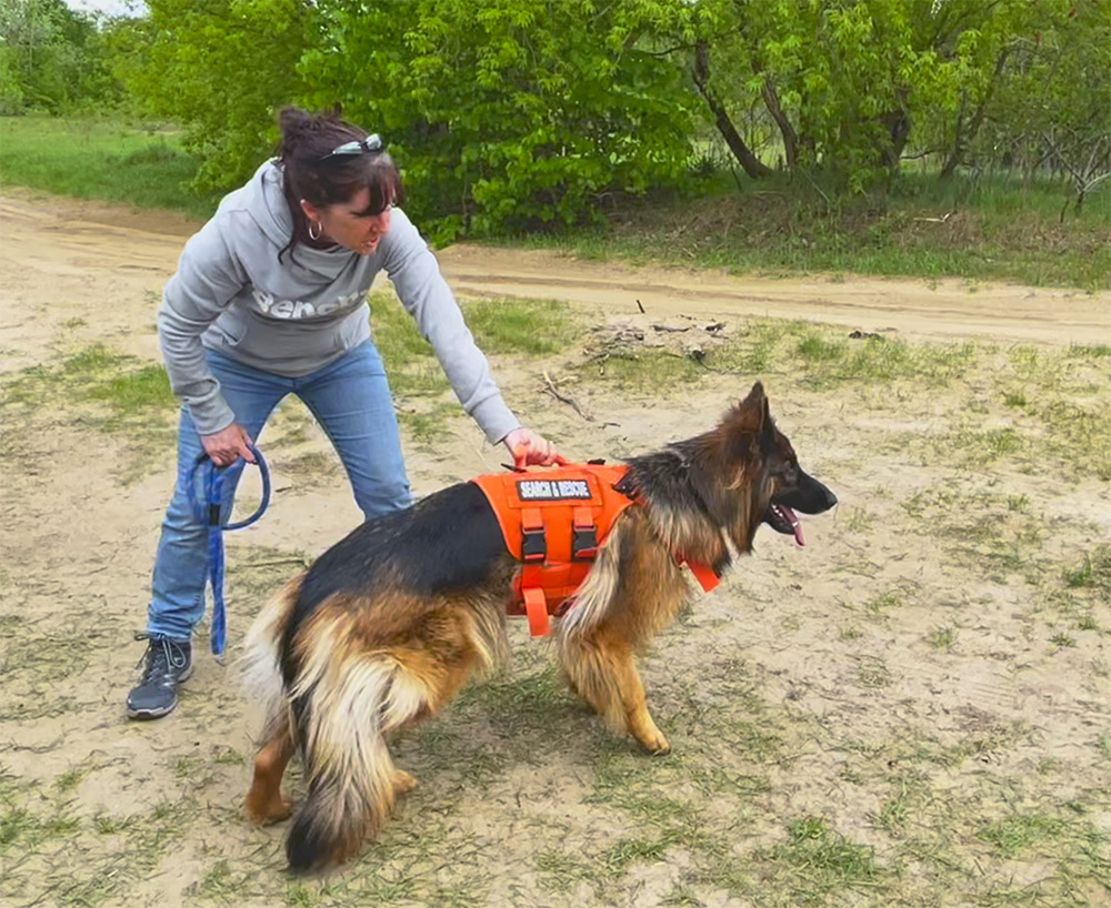 éducatrice comportementaliste canin Beloeil entraînement chien